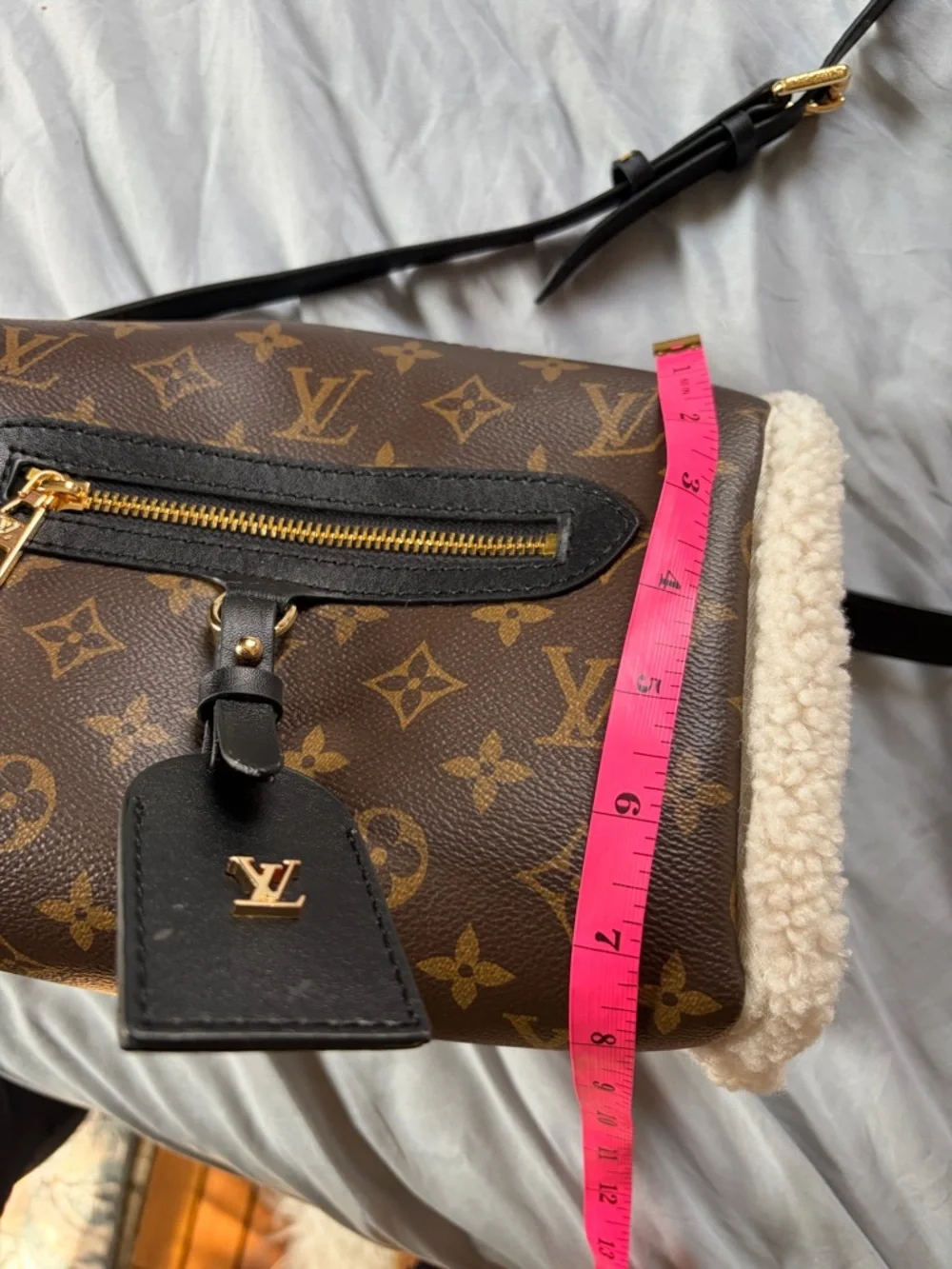 Louis Vuitton Teddy Mitt Monogram Shearling Bag - Picture 10 of 10